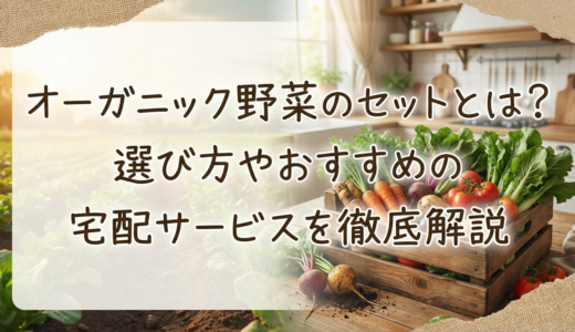 オーガニック野菜のセットとは？選び方やおすすめの宅配サービスを徹底解説