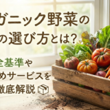 オーガニック野菜の通販の選び方とは?安全基準やおすすめサービスを徹底解説
