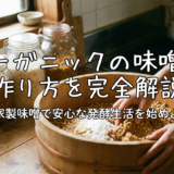 オーガニックの味噌の作り方を完全解説｜自家製味噌で安心な発酵生活を始めよう