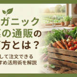 オーガニック野菜の通販の選び方とは?安心して注文できるおすすめ活用術を解説